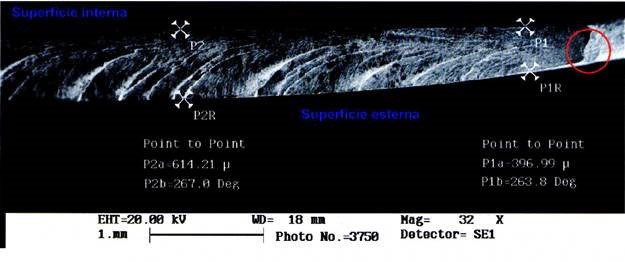 SEM image of the N639NA TRB LS fatigue crack propagation (Credit: Leonardo via NTSB)