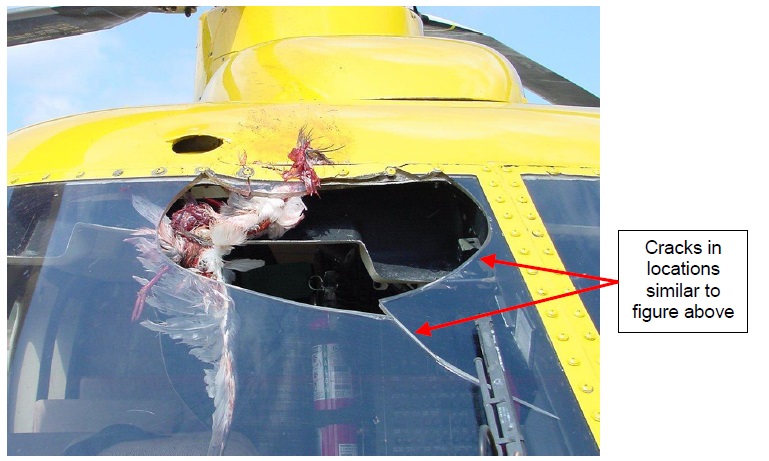 Bird Stike in 2006 on a PHI Sikorsky S-76A++ with the STC Acrylic Windshield (Credit: NTSB)