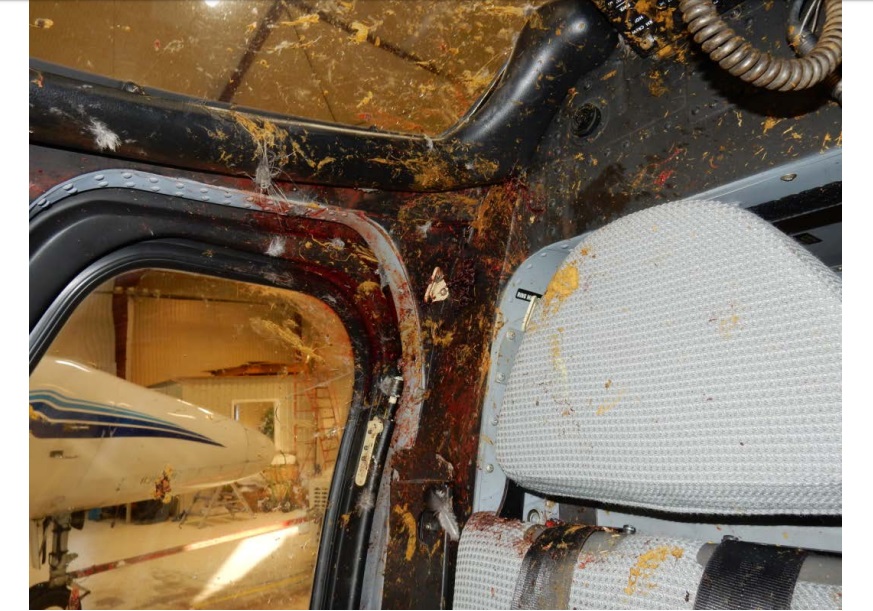 Bird Debris in the Swedish Military A109LUH / Helicopter 15 Cockpit (Credit: SHK)