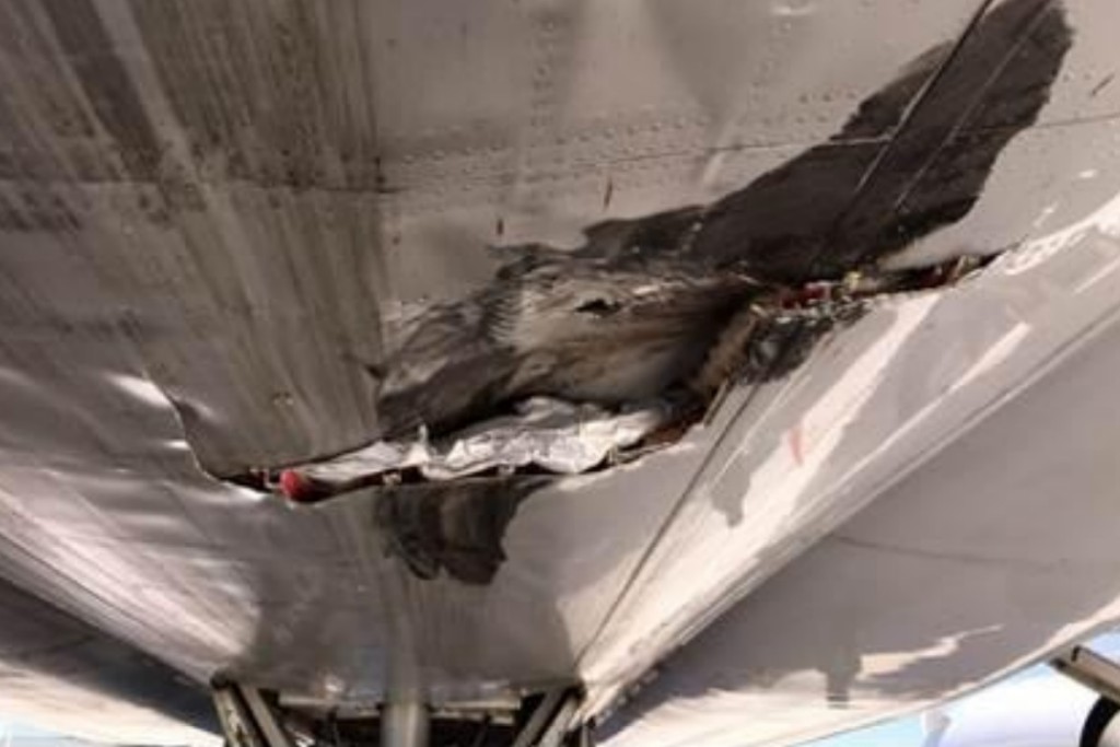 Close-up of Damage to Lufthansa Cargo MD-11F D-ALCM (Credit: JIAAC)