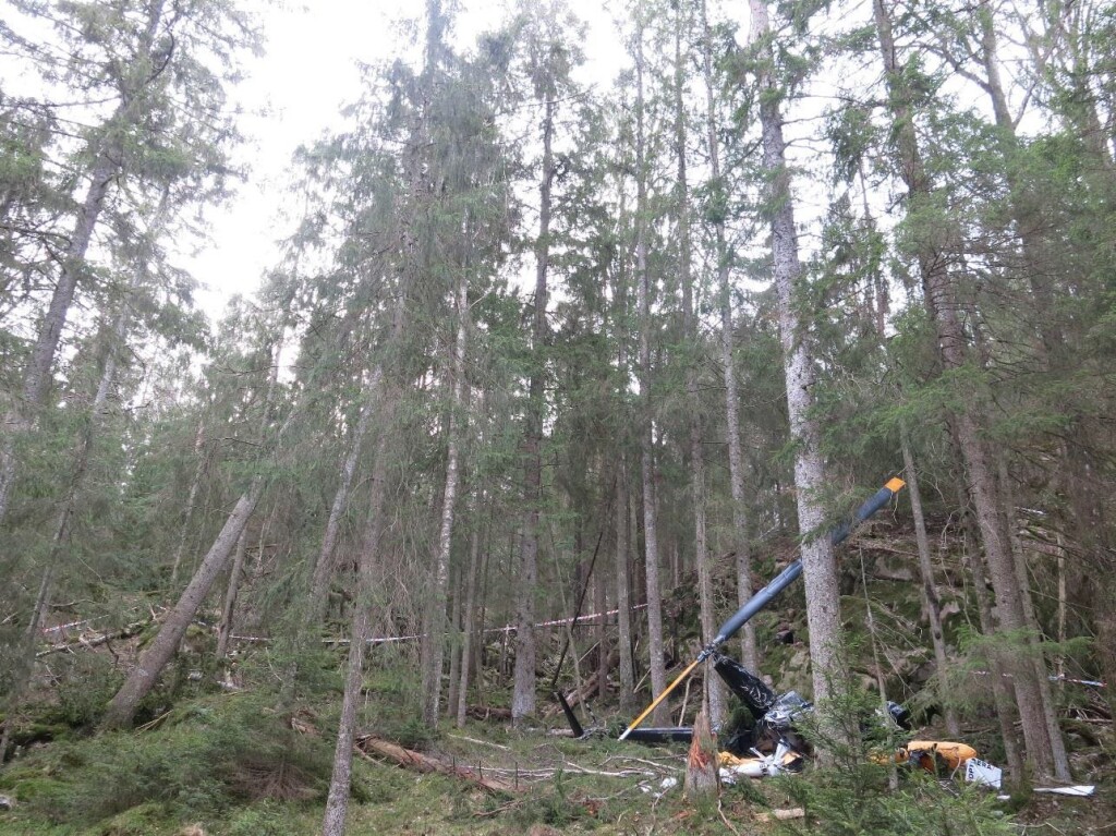 Robinson R44 LN-OGF: The accident site seen toward the southwest. The 30-meter tree that was knocked sideways is shown to the left in the picture (Credit: NSIA)